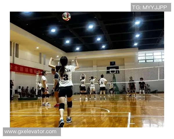 重庆排球队荣登排球团队协作排行榜第三名展现卓越团队精神与实力